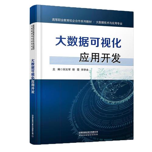 大数据可视化应用开发 从数据到洞察的桥梁